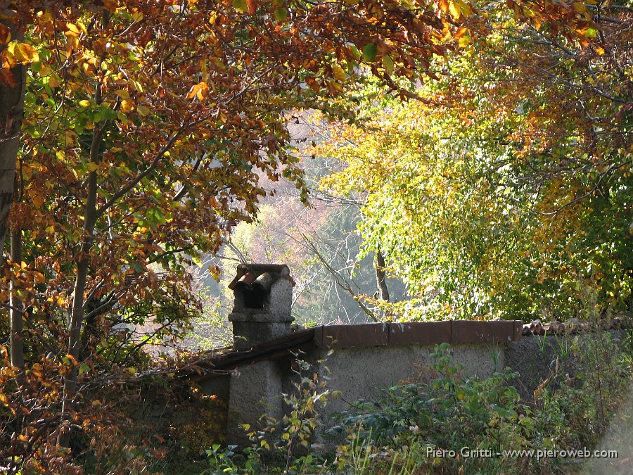 cancervo 182.jpg - Colori d'autunno